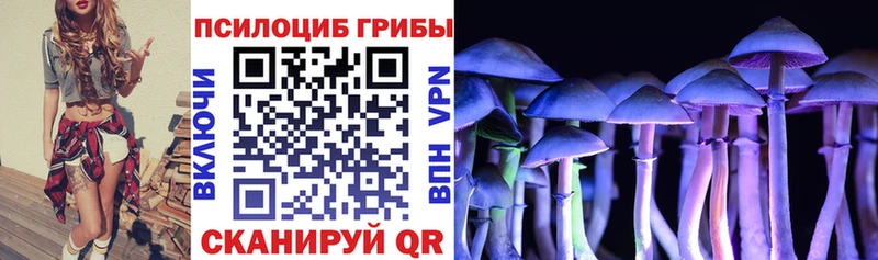 Галлюциногенные грибы прущие грибы  Беломорск 